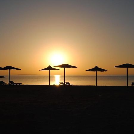 Cecelia Lejlighedshotel Hurghada Eksteriør billede